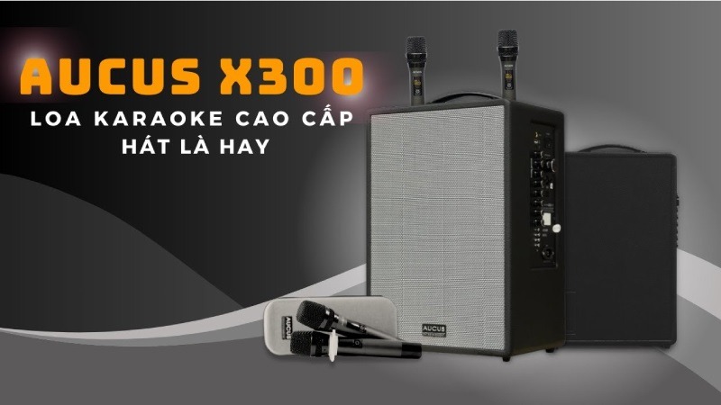 Loa xách tay Mini Karaoke Acnos AUCUS X300, công suất 400W